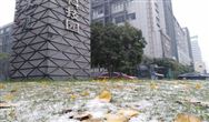 天然氣供暖實(shí)現(xiàn)不了！農(nóng)村清潔取暖從哪入手？